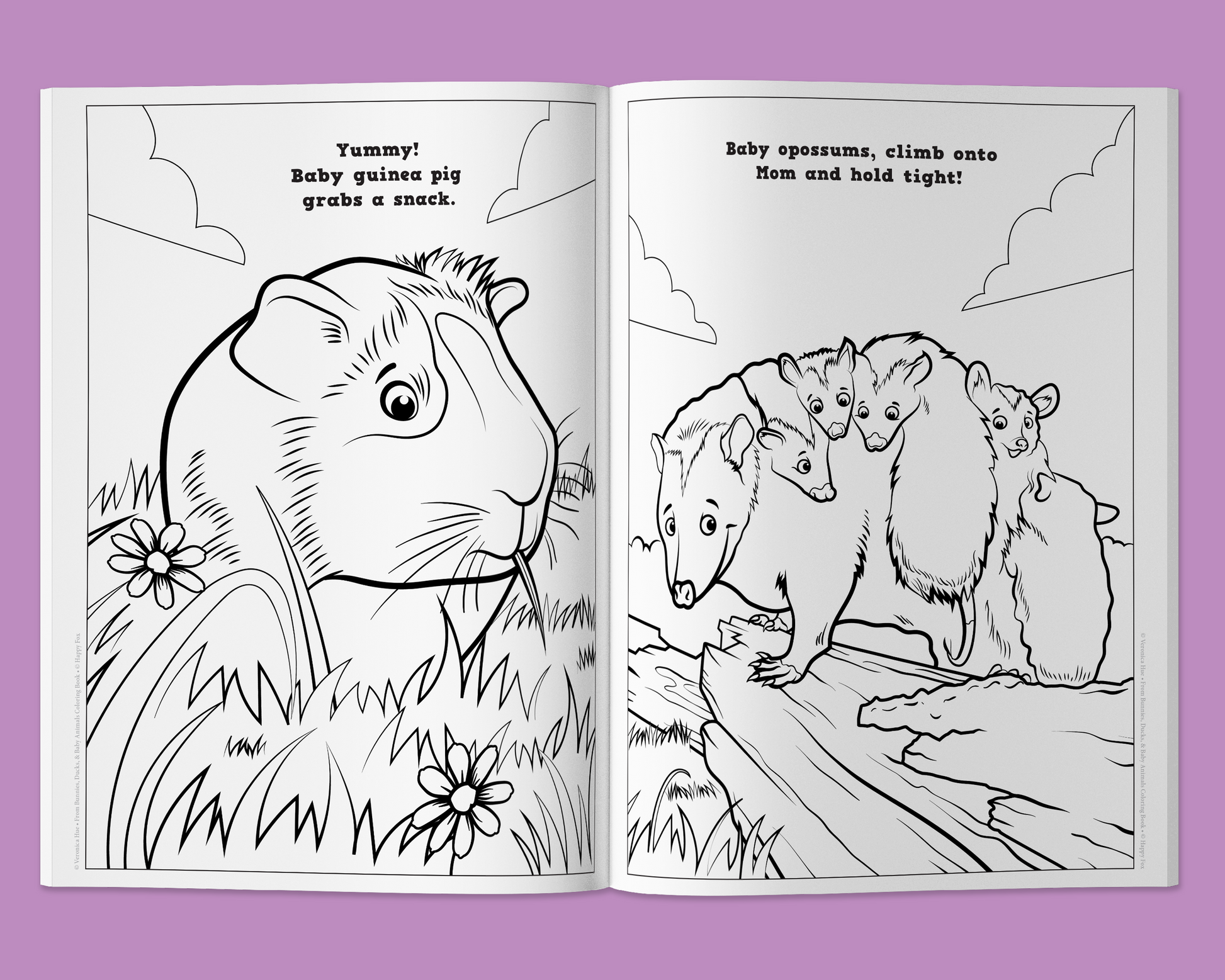 Bunnies, Ducks, and Baby Animals Coloring Book Customized - Fox Chapel Publishing Co.