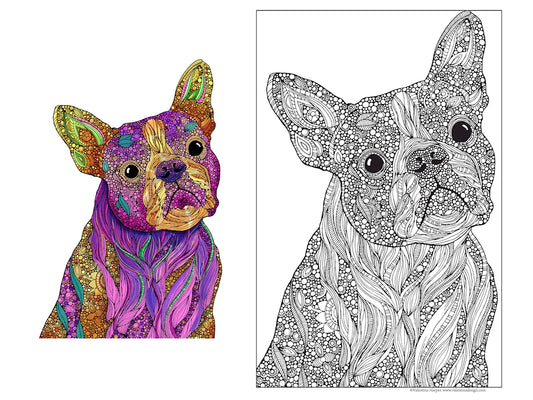 Buddy the Boston Terrier Dog, 24x36 Coloring Poster