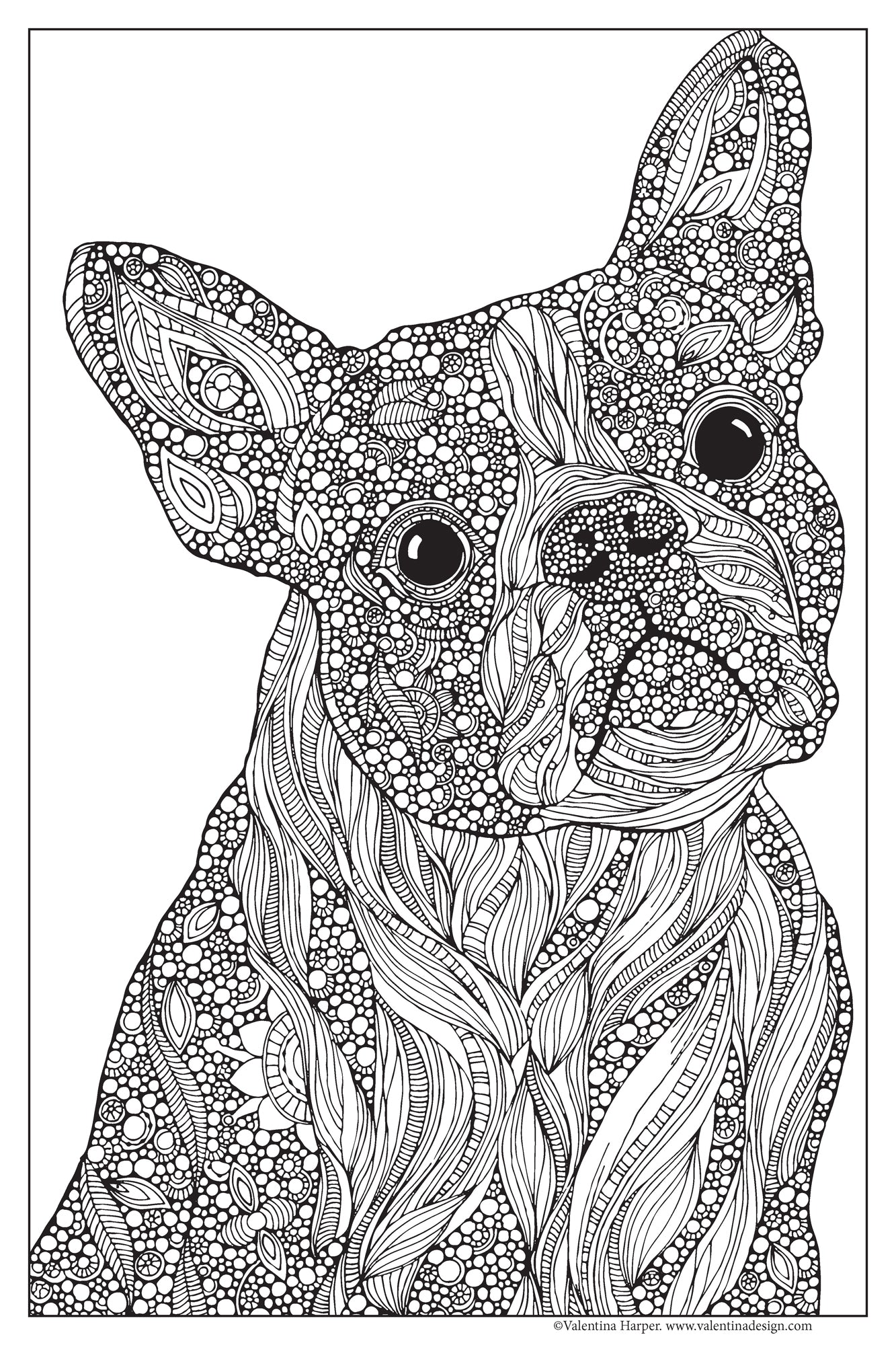 Animals Friends Coloring Poster 3 Pack