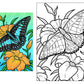 Annabella the Butterfly Coloring Poster