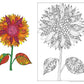 Sunflower, In the Meadow Coloring Poster