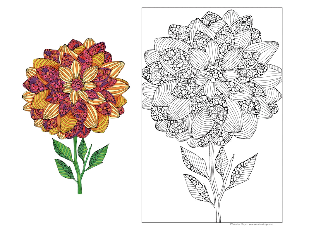 Dahlia, Sweet Bouquet 24x36 Coloring Poster - Fox Chapel Publishing Co.