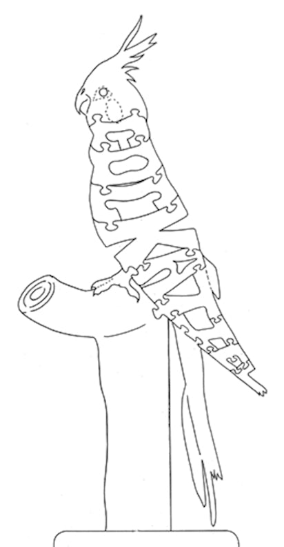 Cockatiel - Nose to Tail - Fox Chapel Publishing Co.