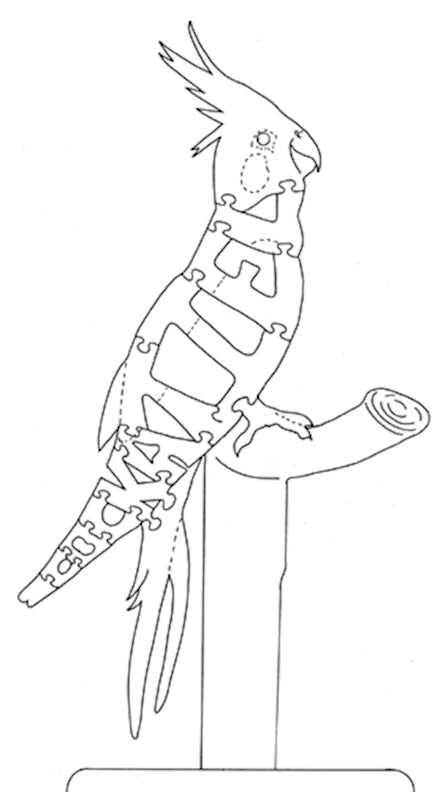 Cockatiel - Tail to Nose - Fox Chapel Publishing Co.