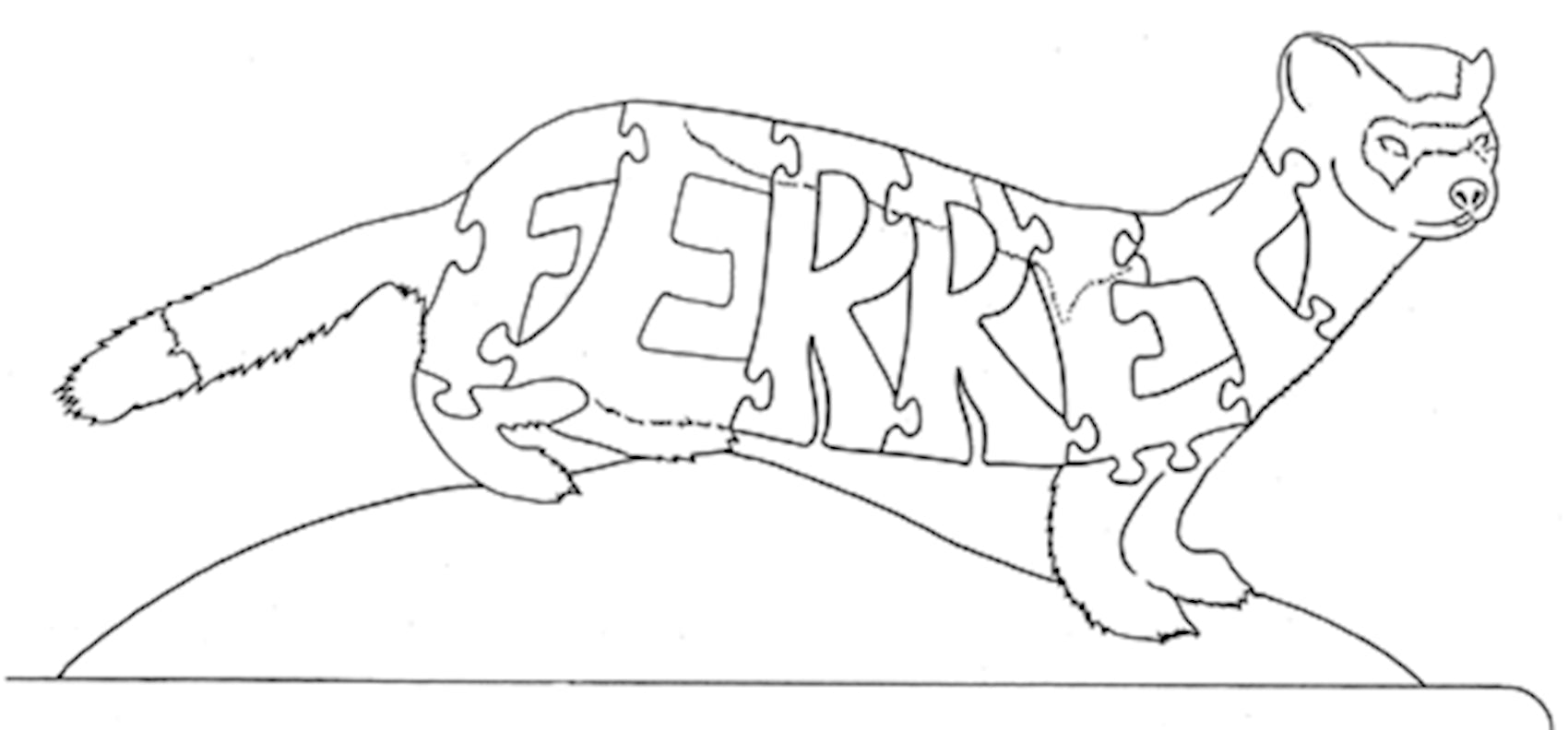 Ferret - Fox Chapel Publishing Co.