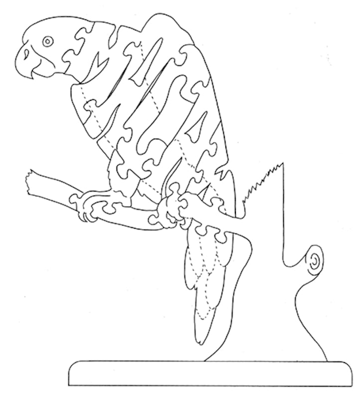 Macaw - Fox Chapel Publishing Co.