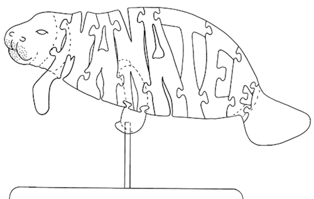 Manatee - Fox Chapel Publishing Co.