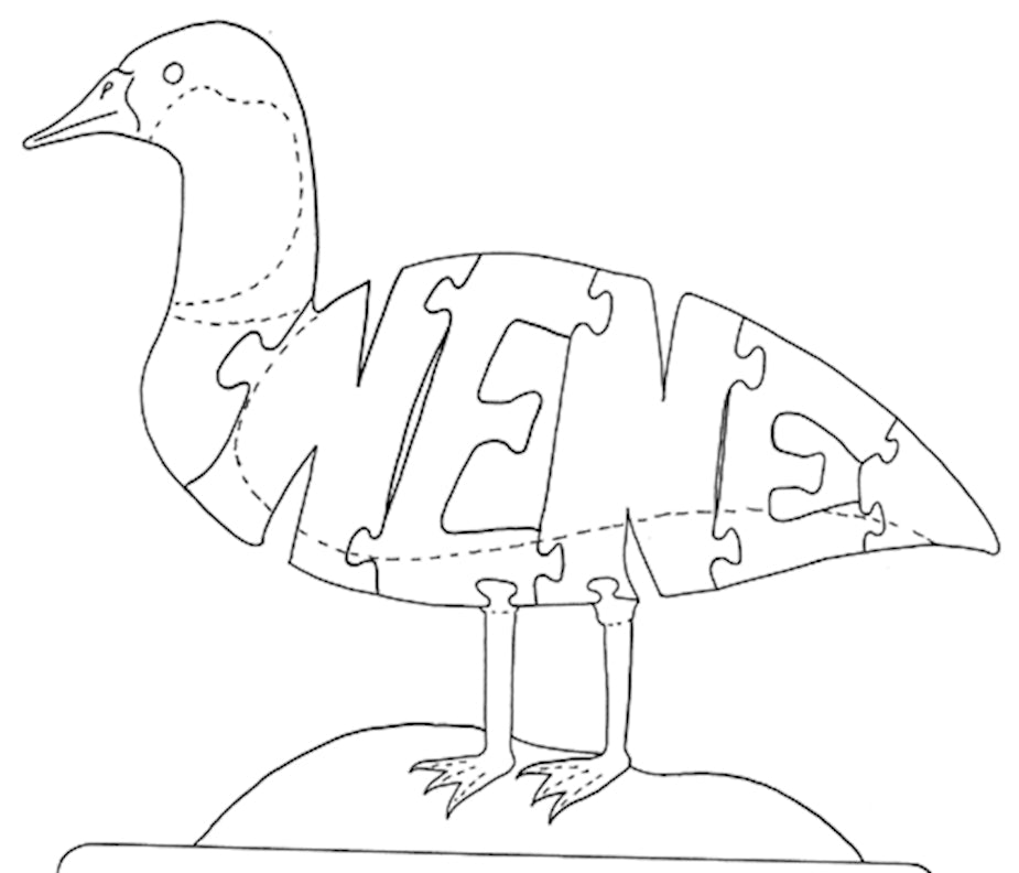 Hawaiian Goose - Nene - Fox Chapel Publishing Co.