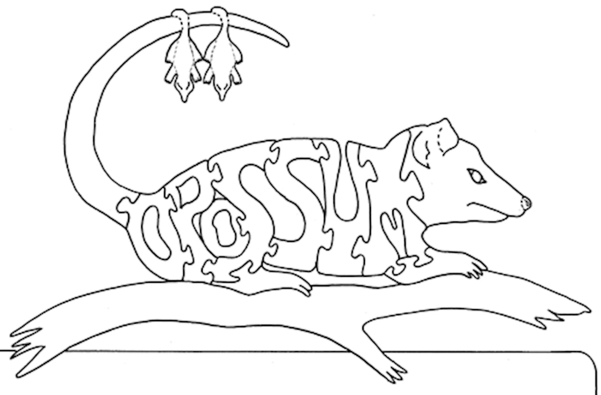 Opossum - Fox Chapel Publishing Co.