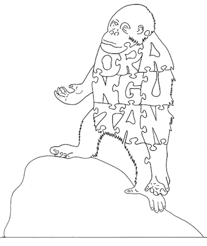 Orangutan - Fox Chapel Publishing Co.