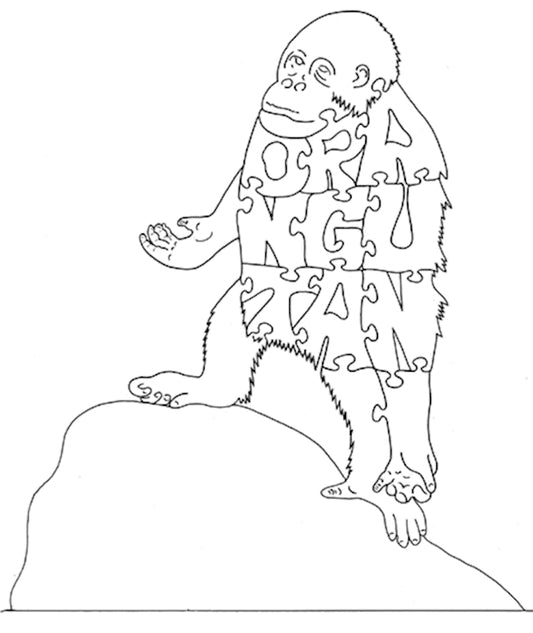 Orangutan