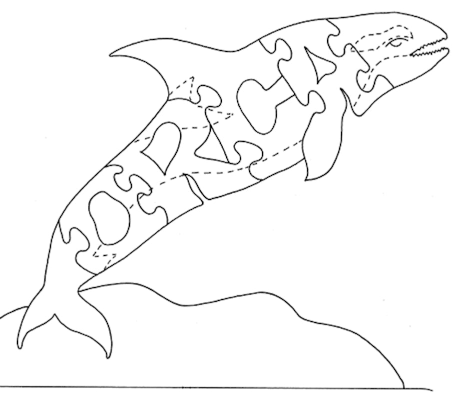 Killer Whale - Orca - Fox Chapel Publishing Co.