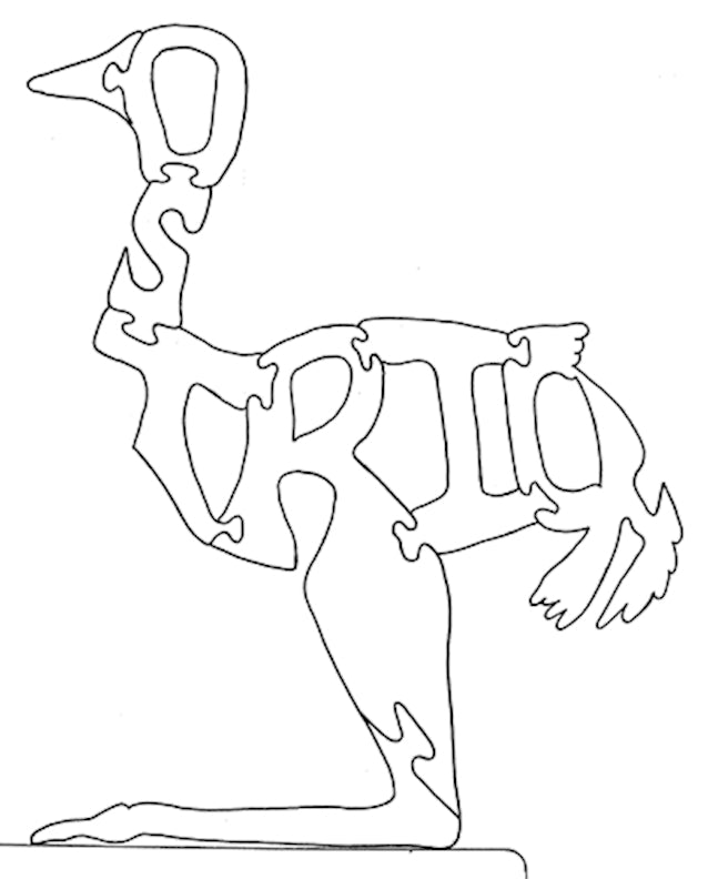 Ostrich - Fox Chapel Publishing Co.