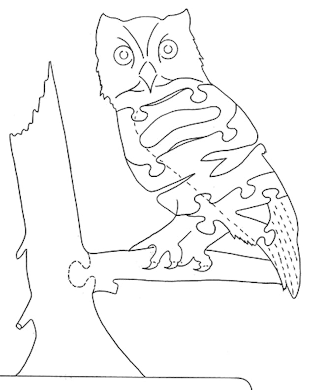 Owl - Nose to Tail