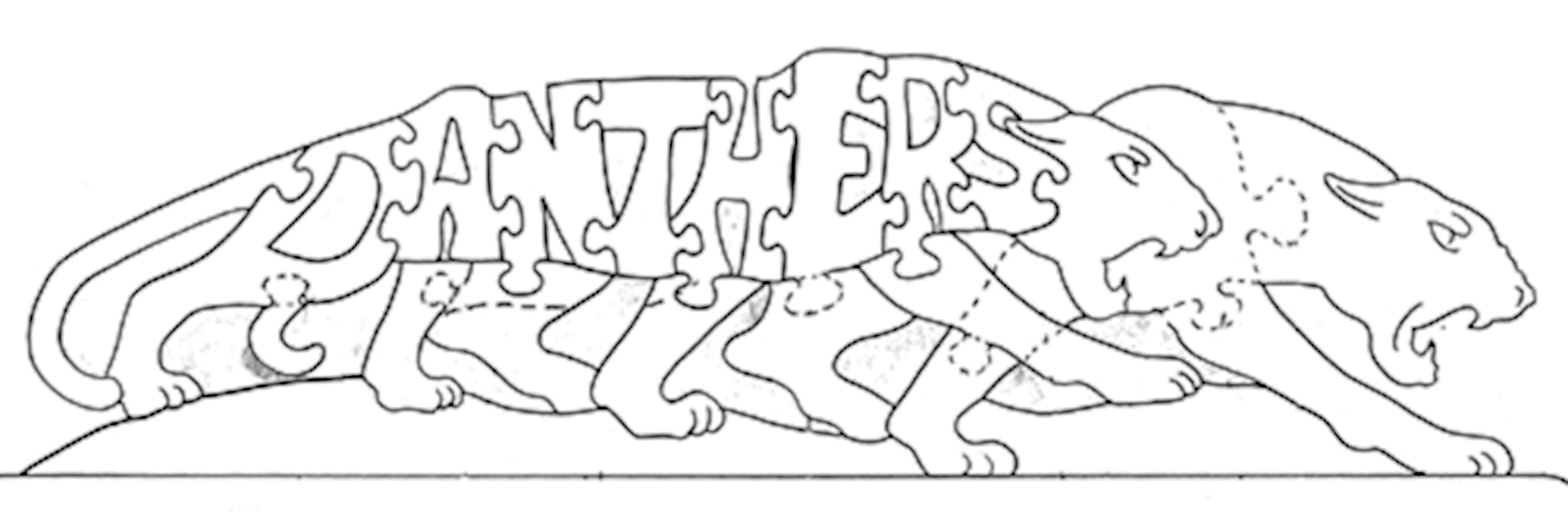 Panthers - Dual Image - Fox Chapel Publishing Co.