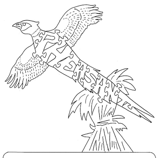 Pheasant - In Flight