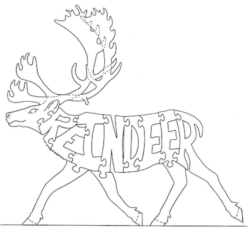 Reindeer