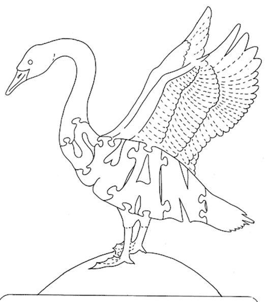 Swan
