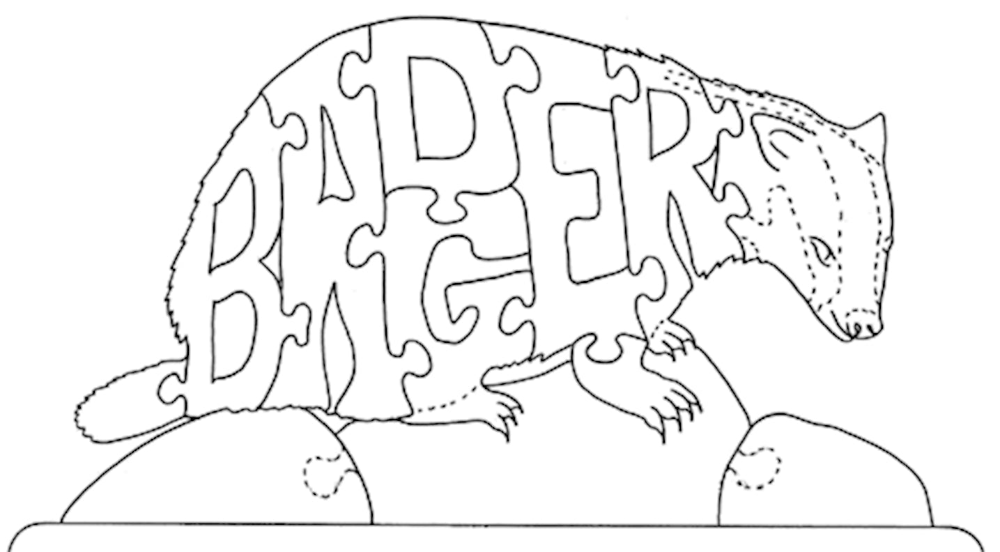 Badger - Fox Chapel Publishing Co.