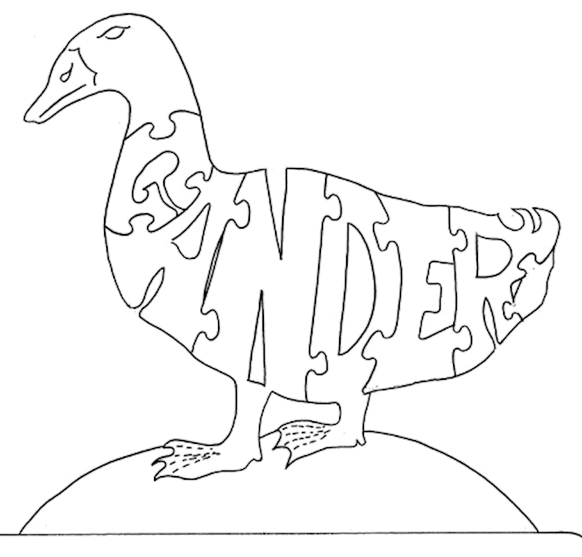 Gander - Fox Chapel Publishing Co.