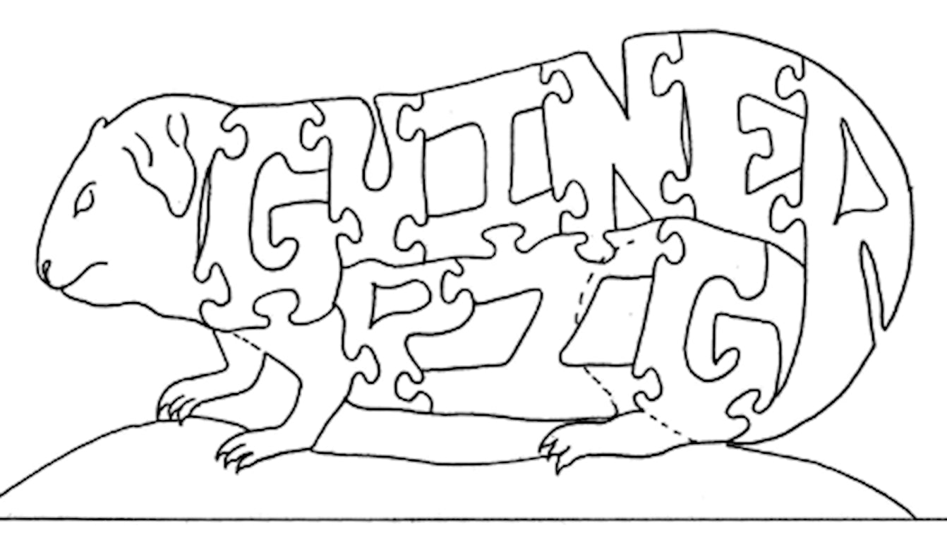 Guinea Pig - Fox Chapel Publishing Co.