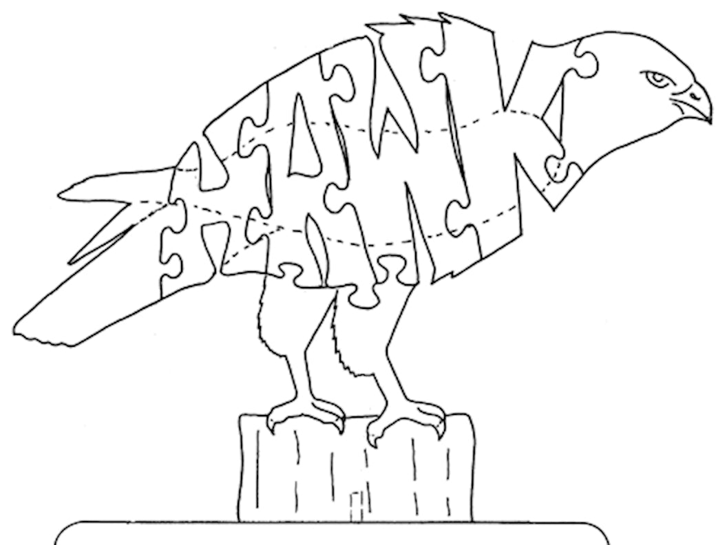 Hawk - Fox Chapel Publishing Co.