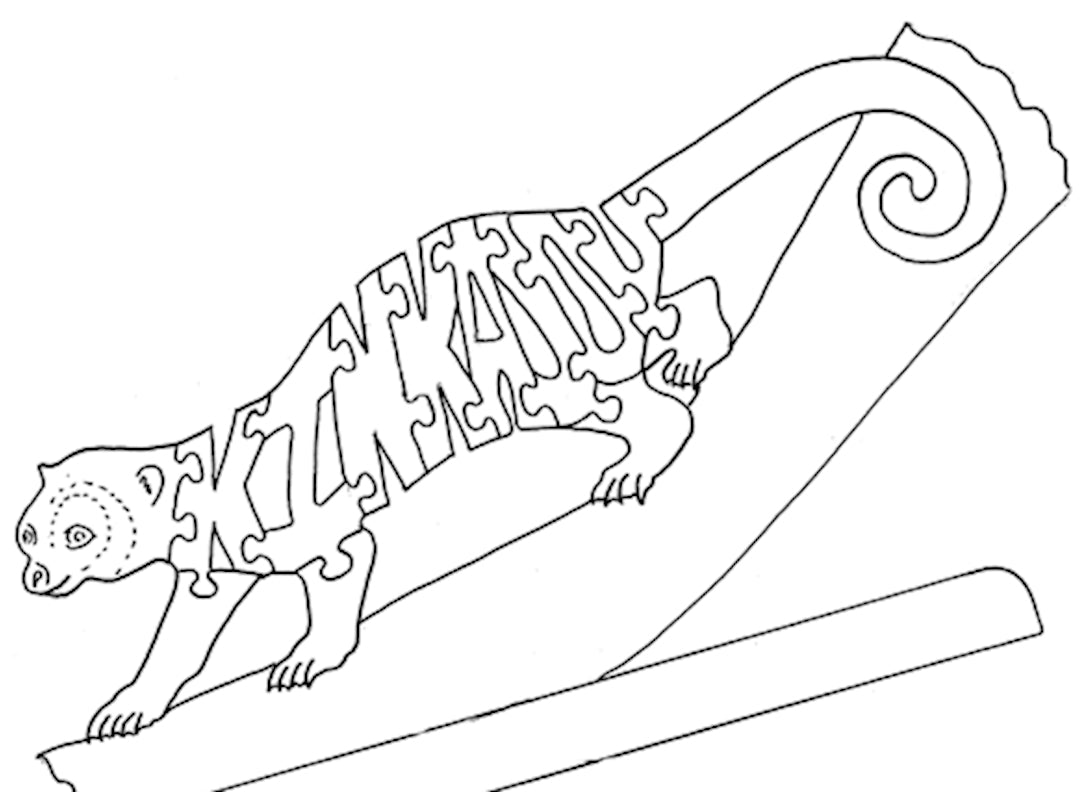 Kinkajou - Fox Chapel Publishing Co.