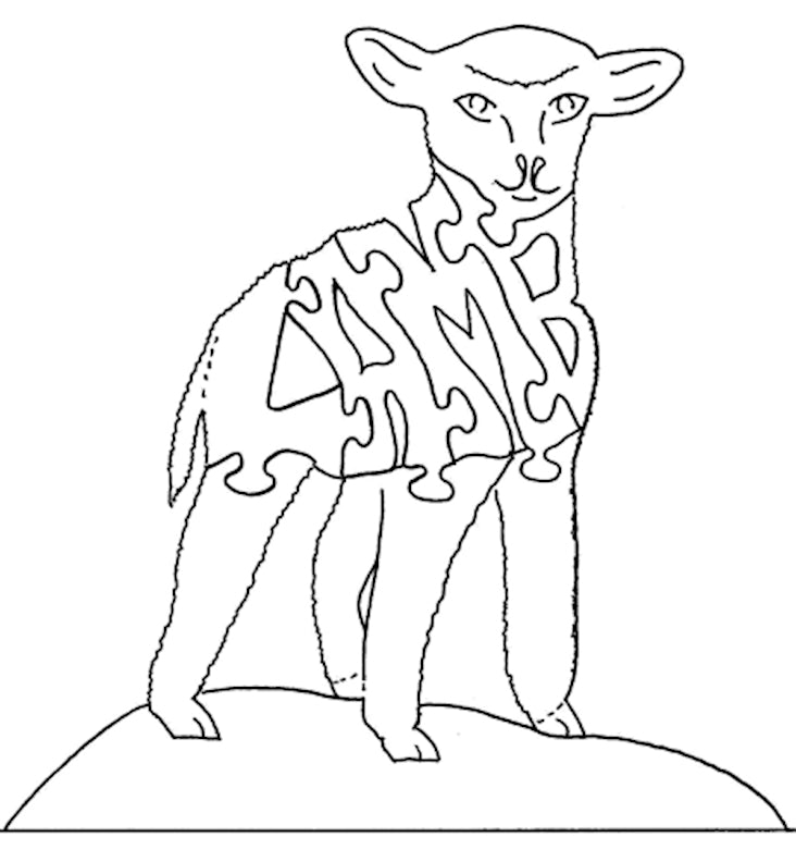 Lamb - Tail to Nose - Fox Chapel Publishing Co.