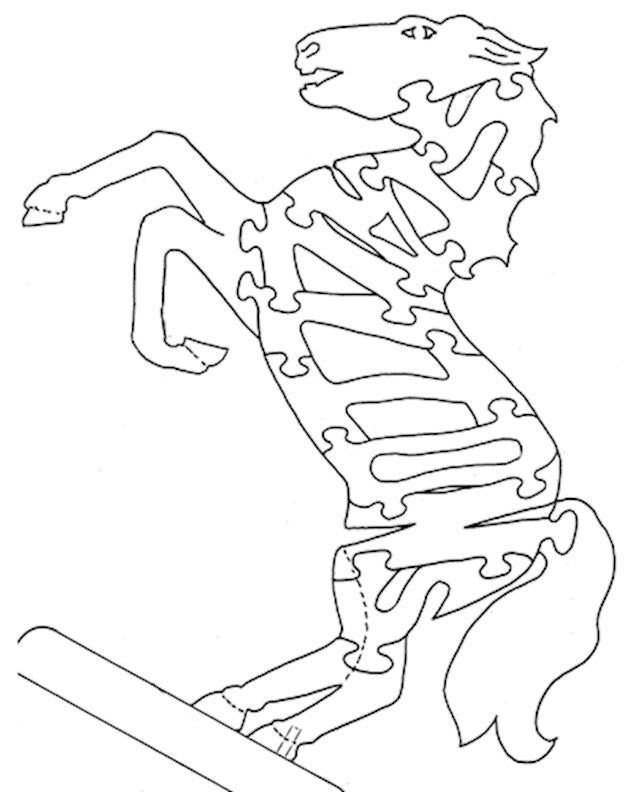 Mustang - Stallions - Fox Chapel Publishing Co.