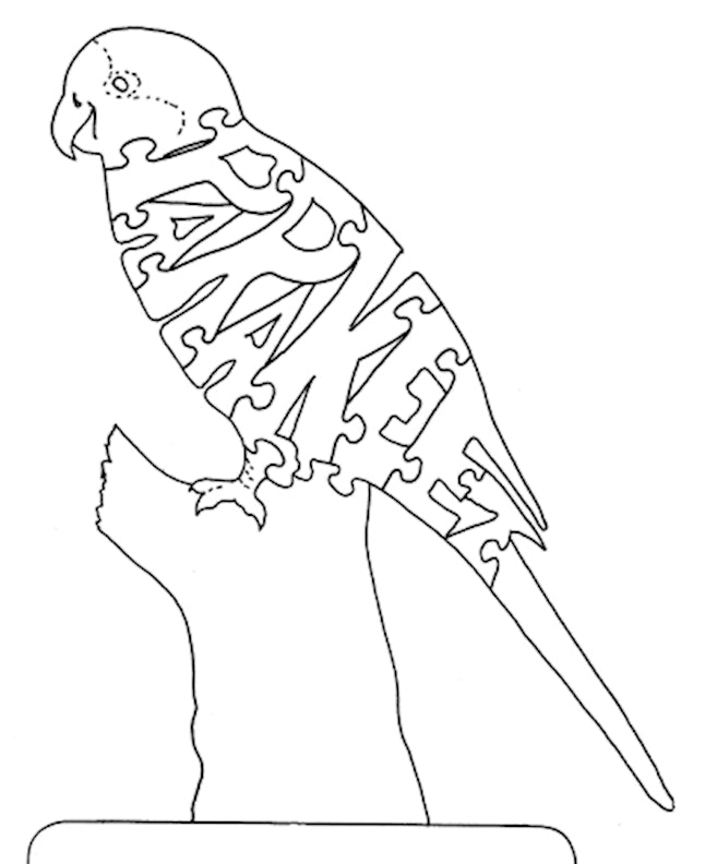 Parakeet - Fox Chapel Publishing Co.