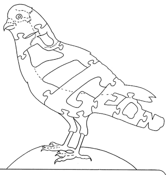 Pigeon