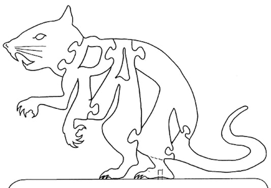 Rat
