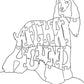 Afghan Hound - Fox Chapel Publishing Co.