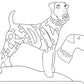 Airedale - Tail to Nose - Fox Chapel Publishing Co.