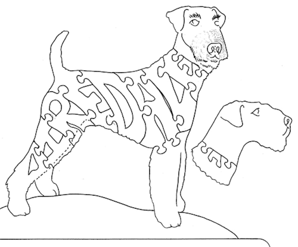 Airedale - Tail to Nose