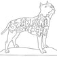 Am. Staffordshire Terrier-Staffordshire