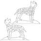Am Stafford-Staffordshire-Terrier