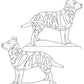 Australian & Cattle Dog