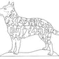 Australian Cattle Dog