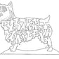Australian Terrier
