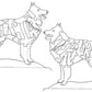 Belgian & Terverun