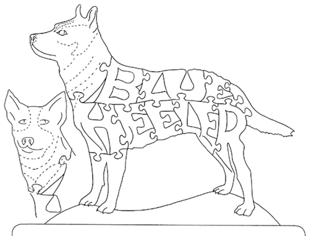 Australian Cattle Dog-Blue Heeler - Fox Chapel Publishing Co.