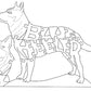 Australian Cattle Dog-Blue Heeler