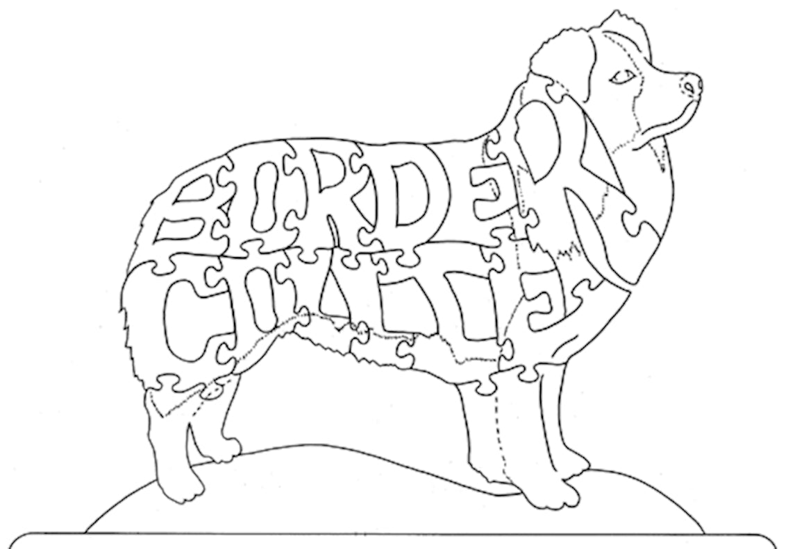 Border Collie - Fox Chapel Publishing Co.