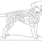 Border Terrier-Head Turned Rt