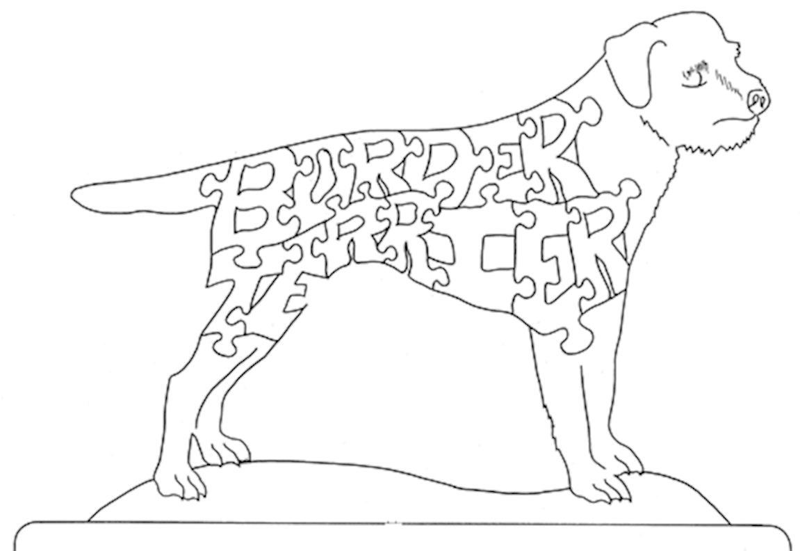 Border Terrier-Profile