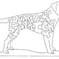 Border Terrier-Profile