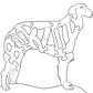 Borzoi