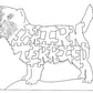 Cairn Terrier - Fox Chapel Publishing Co.
