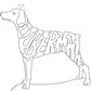 Doberman